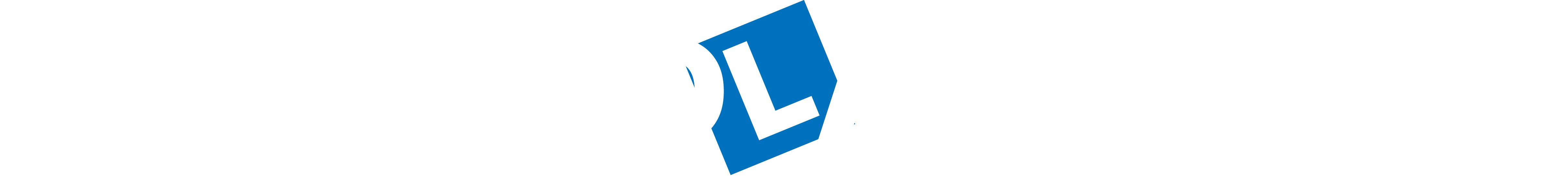 logo autoškola stebila